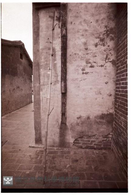 1950至2006年臺灣常民生活藏品圖，第1張