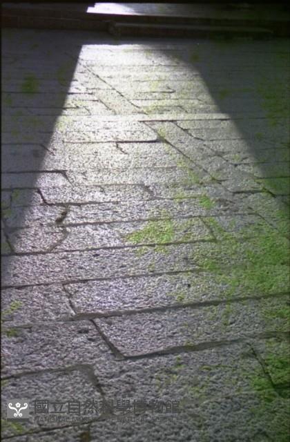 Accession Number:MP2007005424 Collection Image