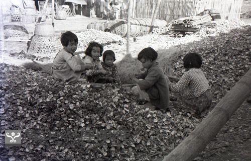 1950至2006年臺灣常民生活藏品圖，第1張