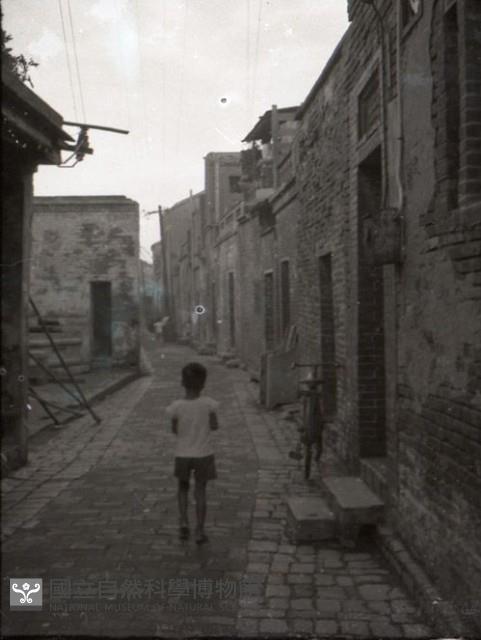 1950至2006年台灣常民生活藏品圖，第1張