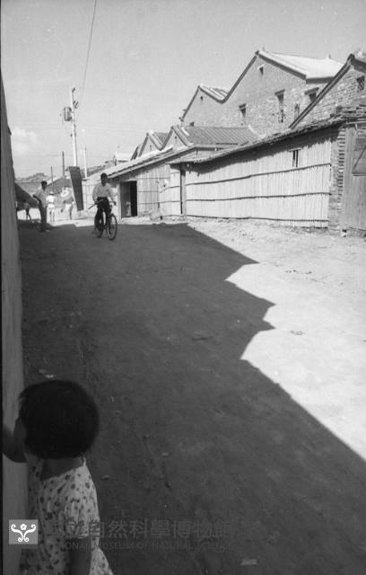 1950至2006年臺灣常民生活藏品圖，第1張