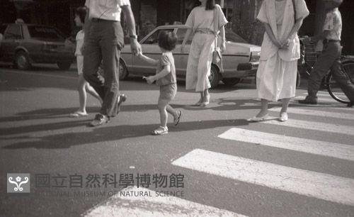 1950至2006年臺灣常民生活藏品圖，第1張
