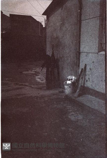 1950至2006年臺灣常民生活藏品圖，第1張