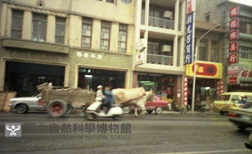 1950至2006年臺灣常民生活藏品圖，第1張
