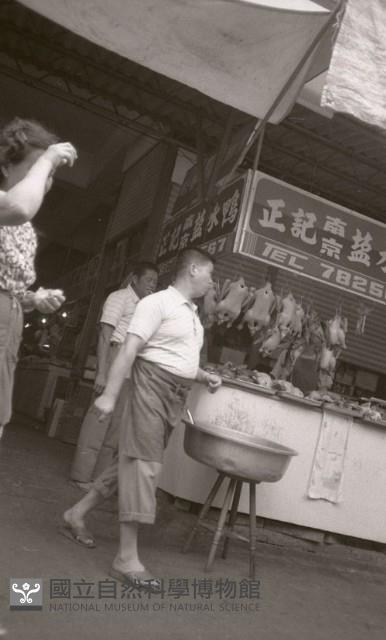 1950至2006年臺灣常民生活藏品圖，第1張