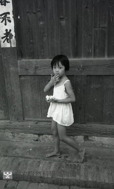 1950至2006年臺灣常民生活藏品圖，第1張