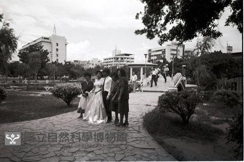 1950至2006年臺灣常民生活藏品圖，第1張