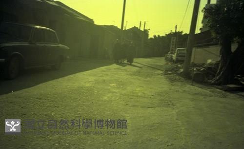 1950至2006年臺灣常民生活藏品圖，第1張