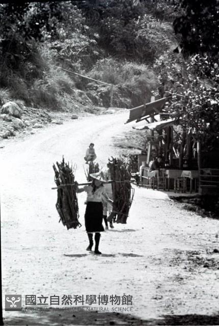1950至2006年臺灣常民生活藏品圖，第1張