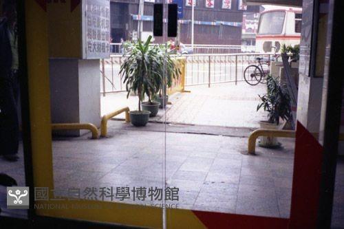 1950至2006年臺灣常民生活藏品圖，第1張