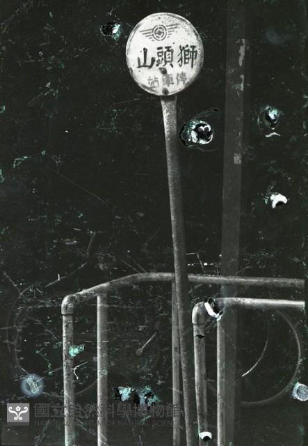 1950至2006年臺灣常民生活藏品圖，第1張