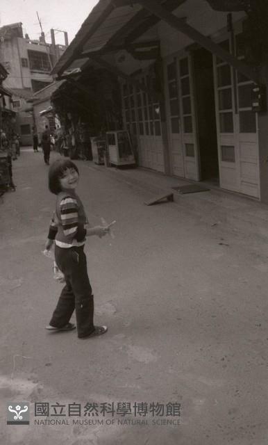 1950至2006年臺灣常民生活藏品圖，第1張