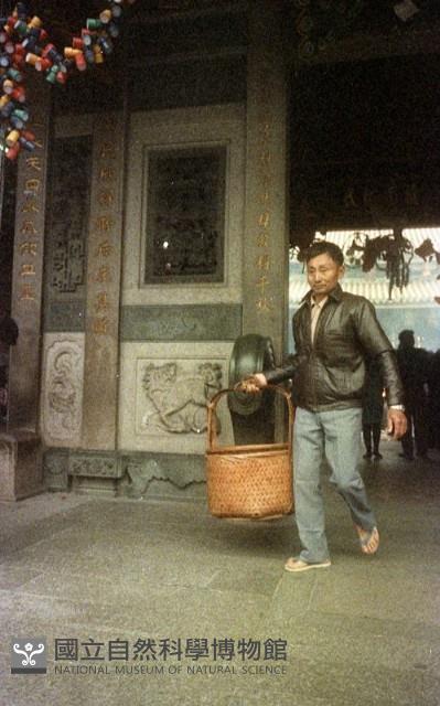 1950至2006年臺灣常民生活藏品圖，第1張
