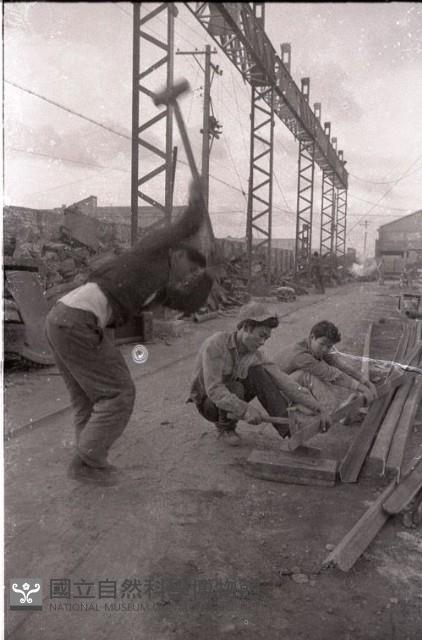 1950至2006年臺灣常民生活藏品圖，第1張