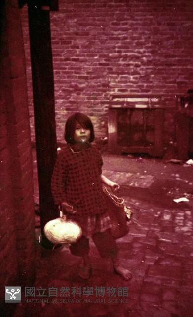 1950至2006年臺灣常民生活藏品圖，第1張
