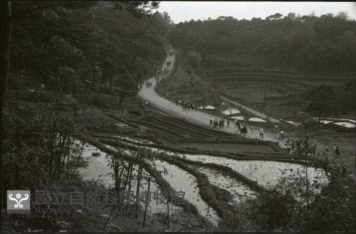 1950至2006年臺灣常民生活藏品圖，第1張