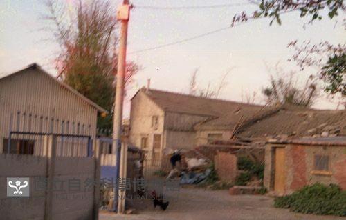 1950至2006年臺灣常民生活藏品圖，第1張