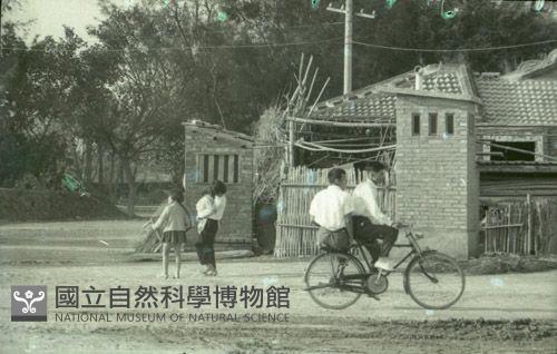 1950至2006年臺灣常民生活藏品圖，第1張