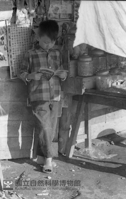 1950至2006年臺灣常民生活藏品圖，第1張