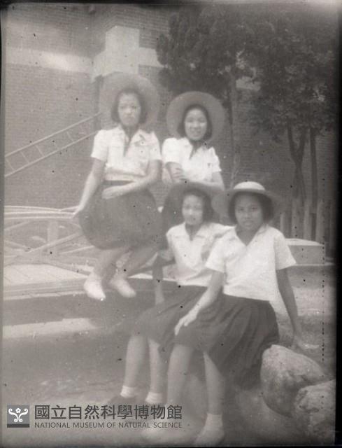 1950至2006年臺灣常民生活藏品圖，第1張