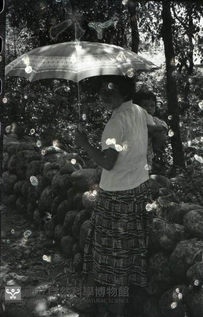 1950至2006年台灣常民生活藏品圖，第1張