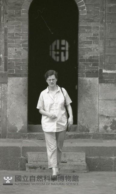 1950至2006年臺灣常民生活藏品圖，第1張