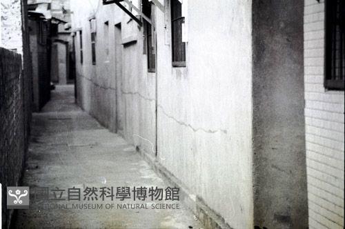 1950至2006年臺灣常民生活藏品圖，第1張