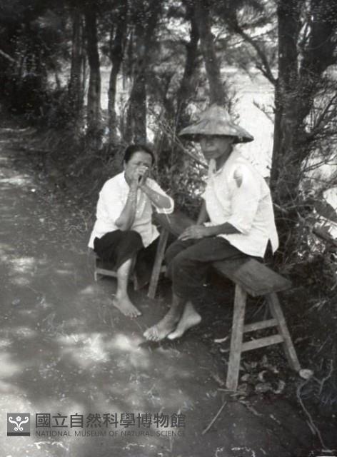 1950至2006年臺灣常民生活藏品圖，第1張