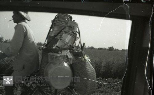 1950至2006年臺灣常民生活 藏品圖，第1張