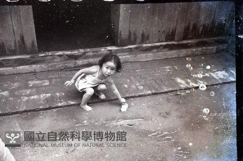 1950至2006年臺灣常民生活藏品圖，第1張
