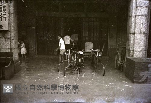 1950至2006年臺灣常民生活藏品圖，第1張