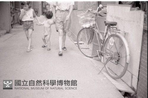 1950至2006年臺灣常民生活藏品圖，第1張