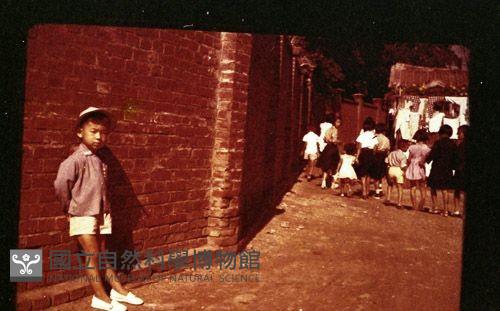 1950至2006年臺灣常民生活藏品圖，第1張