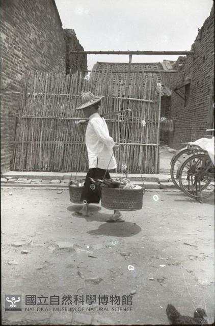 1950至2006年臺灣常民生活藏品圖，第1張