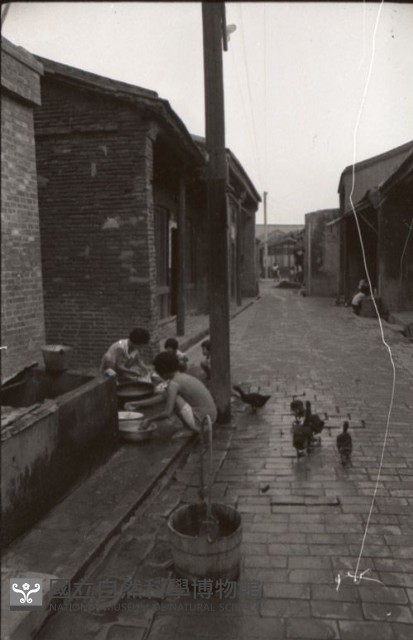 1950至2006年臺灣常民生活藏品圖，第1張