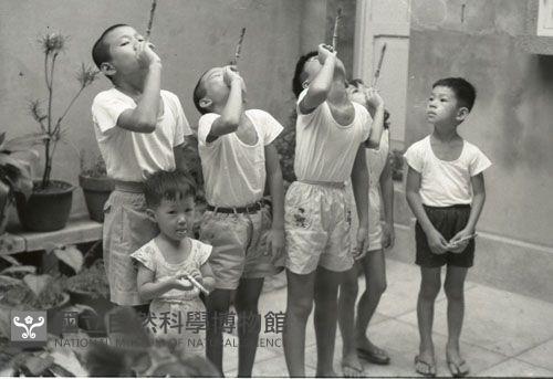 1950至2006年臺灣常民生活藏品圖，第1張