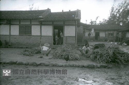 1950至2006年臺灣常民生活藏品圖，第1張