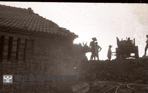 1950至2006年臺灣常民生活藏品圖，第1張