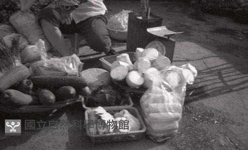 1950至2006年臺灣常民生活藏品圖，第1張