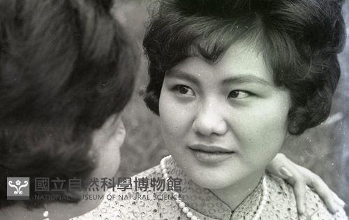 1950至2006年臺灣常民生活藏品圖，第1張