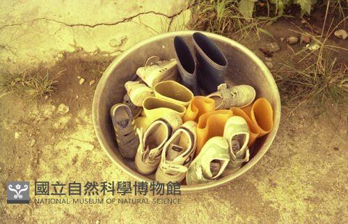 1950至2006年臺灣常民生活藏品圖，第1張