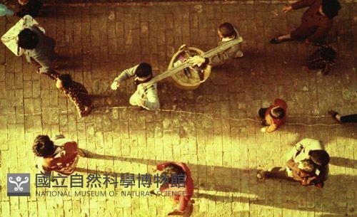 1950至2006年臺灣常民生活藏品圖，第1張