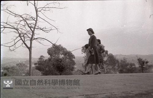 1950至2006年臺灣常民生活藏品圖，第1張
