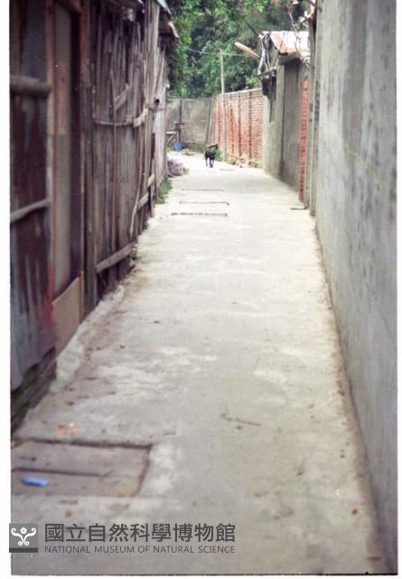 1950至2006年臺灣常民生活藏品圖，第1張