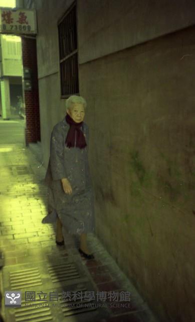 1950至2006年臺灣常民生活藏品圖，第1張
