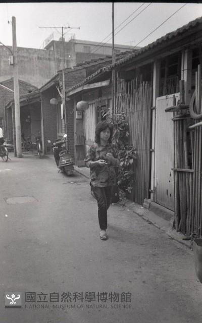 1950至2006年臺灣常民生活藏品圖，第1張
