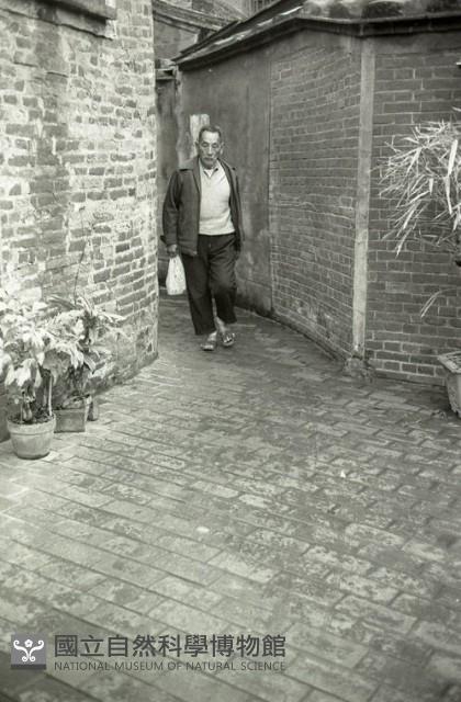 1950至2006年臺灣常民生活藏品圖，第1張