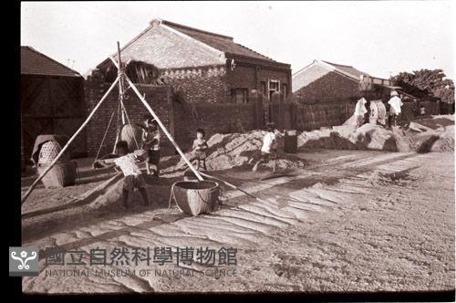 1950至2006年臺灣常民生活藏品圖，第1張