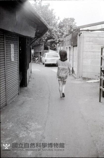 1950至2006年臺灣常民生活藏品圖，第1張