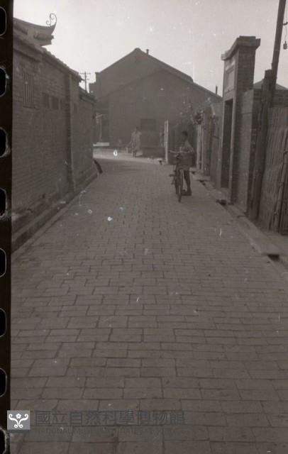 1950至2006年臺灣常民生活藏品圖，第1張